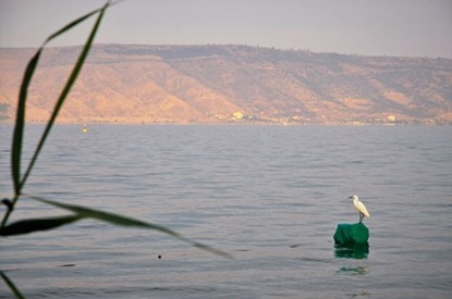 Genesarets sjö, Israel 10 maj 2016